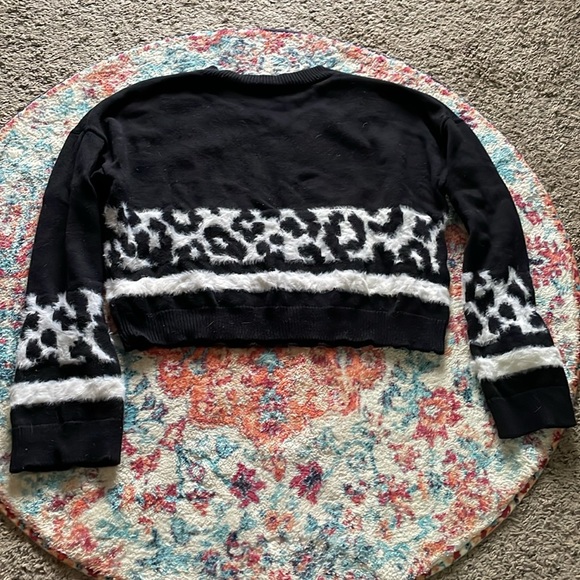Express Fuzzy Leopard Stripe Cropped Sweater - Picture 5 of 5